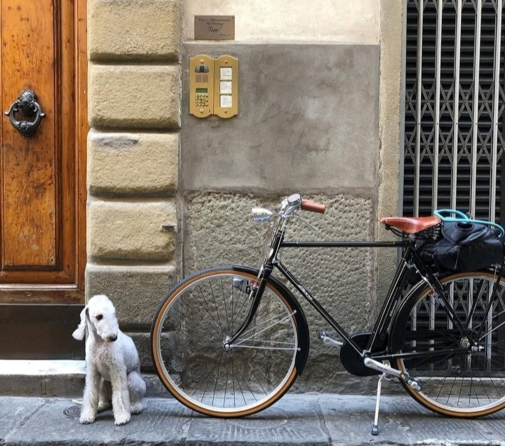 Come-scegliere-la-bici-ideale-per-girare-Firenze ciclisergiobianchi