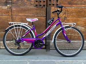 Bici da donna con cambio Shimano 18 velocità
