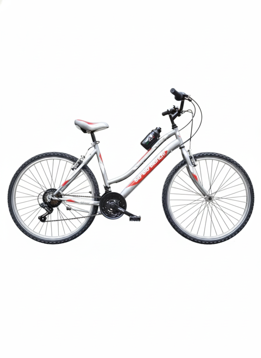 Damen-MTB 26″ Shimano 18G
