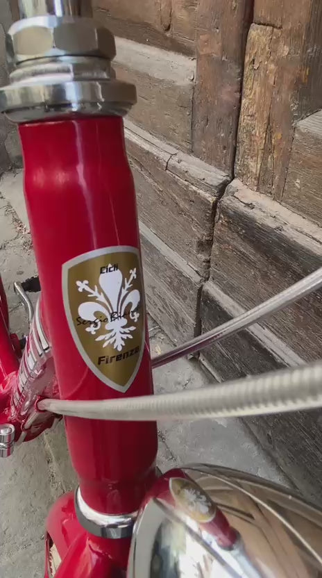 video bici pieghevole