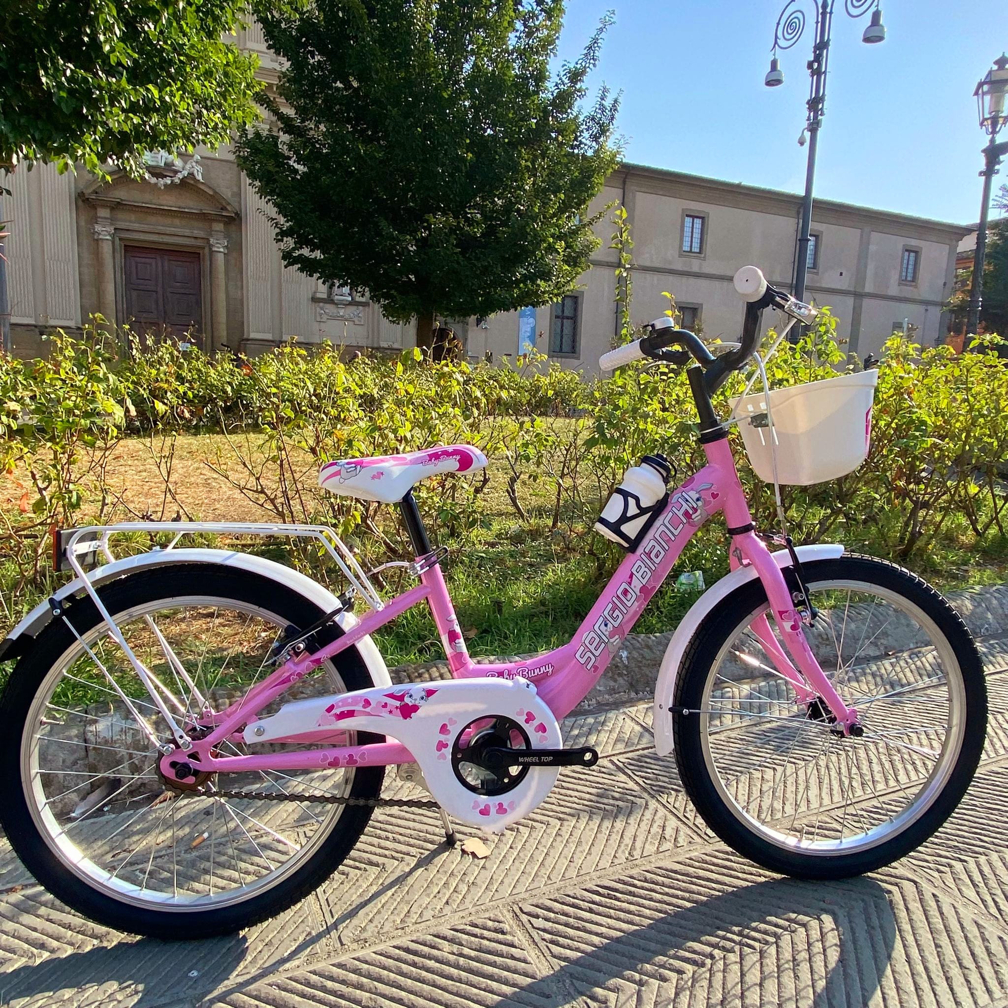 video bici bambina misura 20 pollici